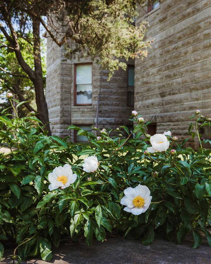 스프링필드 The Mansion At Elfindale B&B 외부 사진