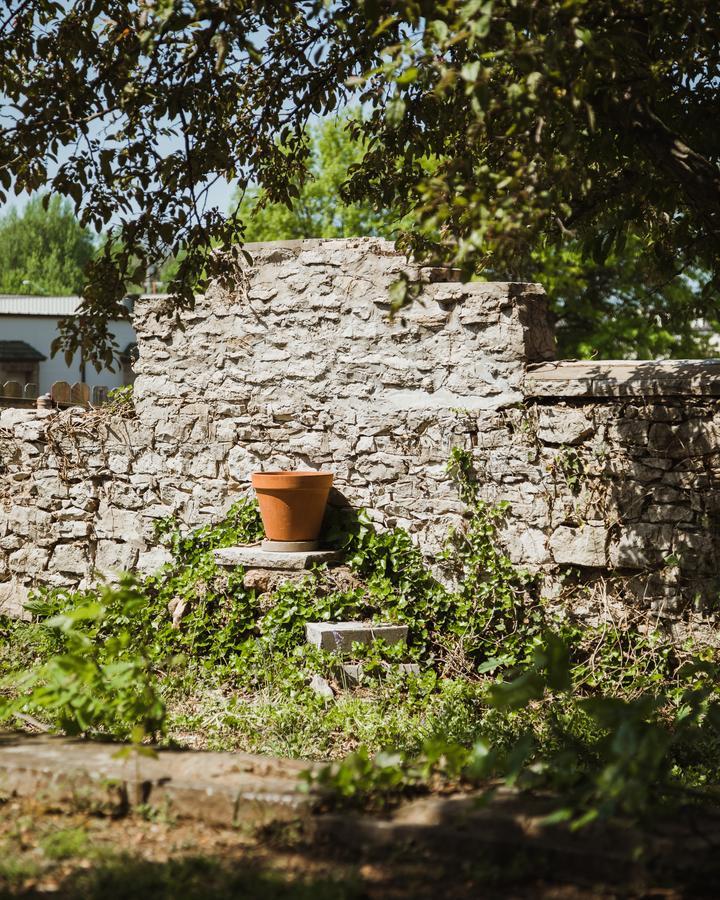 스프링필드 The Mansion At Elfindale B&B 외부 사진